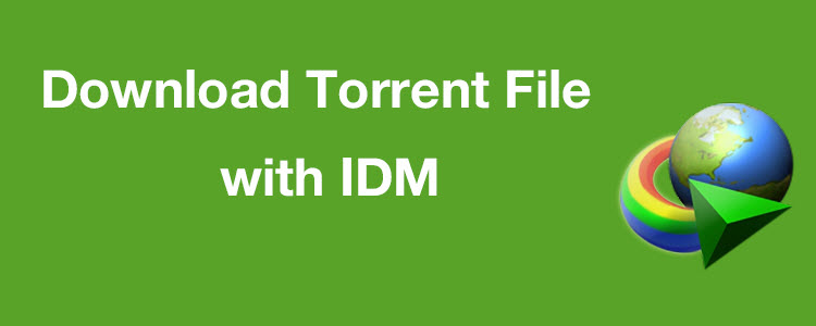 How to Download Torrent File with IDM