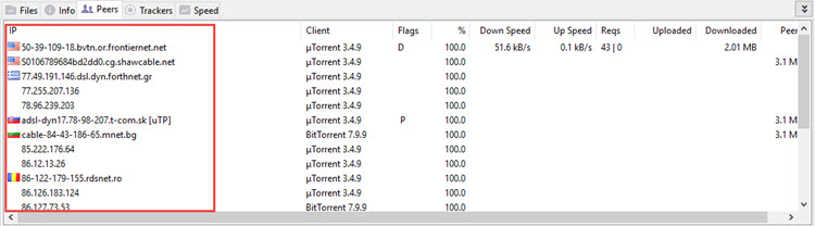 IP in your torrent client